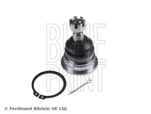 Spindelled BLUE PRINT ADN186126