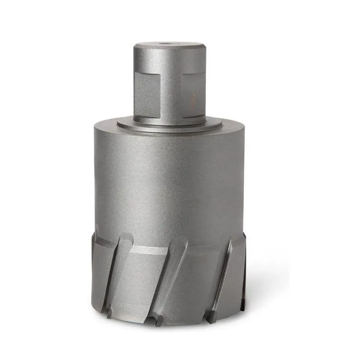 Fein HM Ultra Kärnborr Weldon 32, 100 mm Ø105 mm