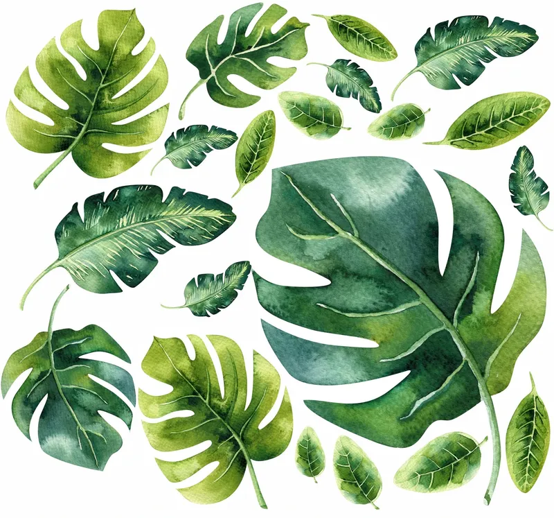 Väggdekal - Monstera löv