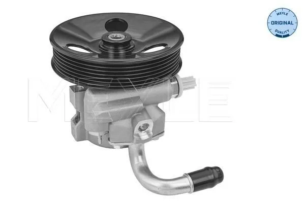 Servopump MEYLE 29-14 631 0006