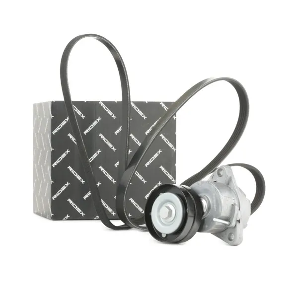 RIDEX 542R0319 Drivremssats