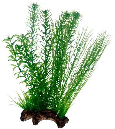 Dekor Flora Root 2 L 30cm