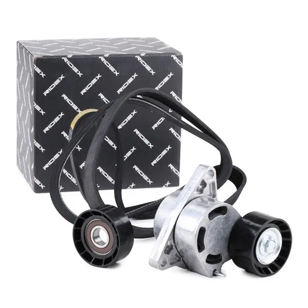 Drivremssats RIDEX 542R0999
