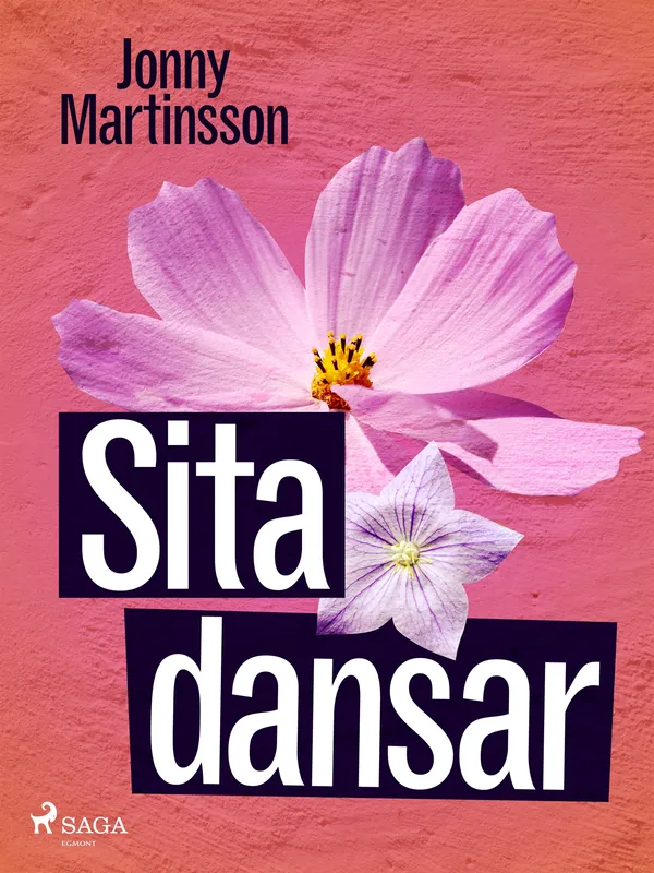 Sita dansar, E-bok
