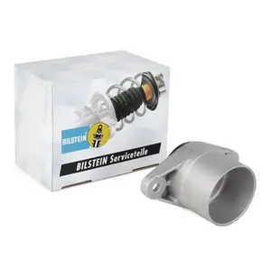 Fjäderbenslagring BILSTEIN 12-228720