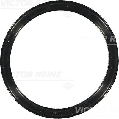 Packninmg, termostathus REINZ 70-36583-00
