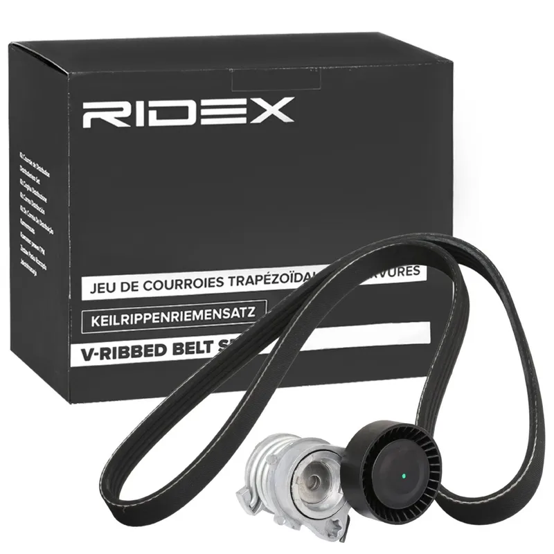 Drivremssats RIDEX 542R0789