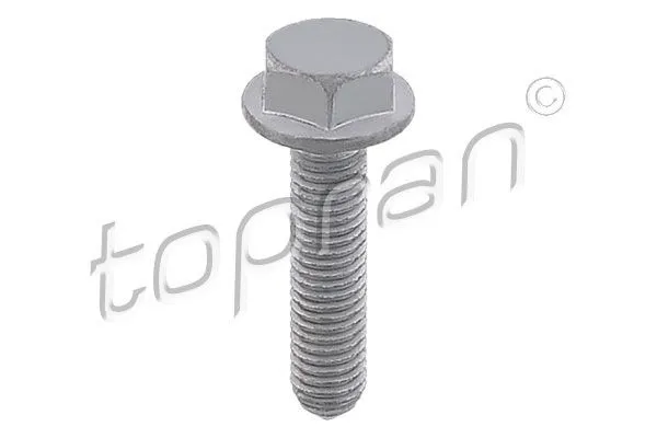 Skruv / Bult TOPRAN 117 611