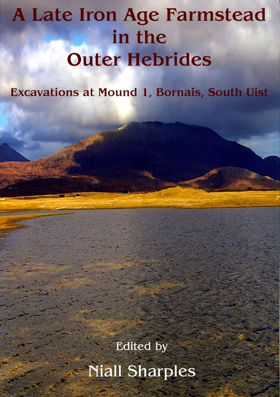A Late Iron Age farmstead in the Outer Hebrides, E-bok