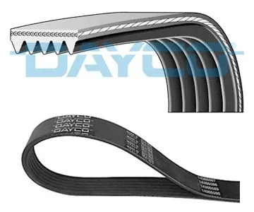 Multirem DAYCO 5PK736