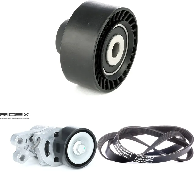 Drivremssats RIDEX 542R0086
