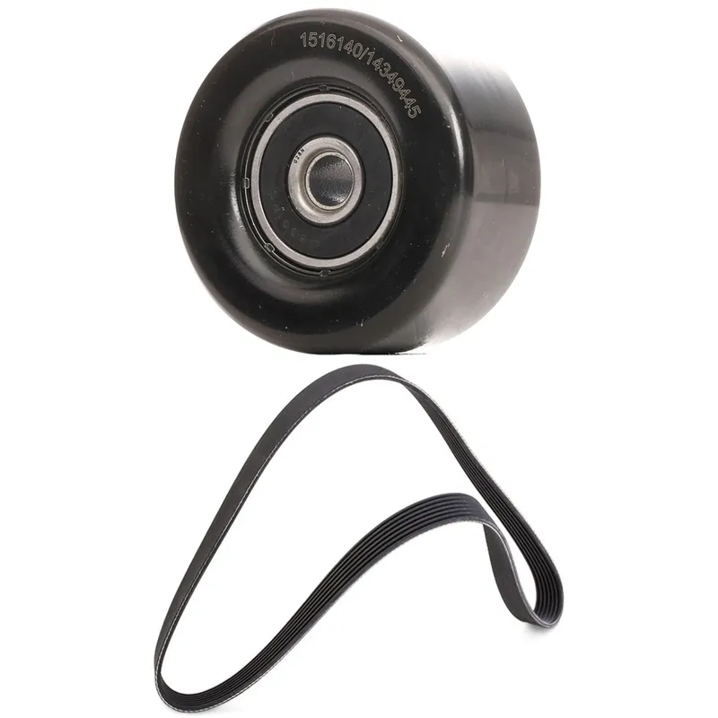 Drivremssats RIDEX 542R1352
