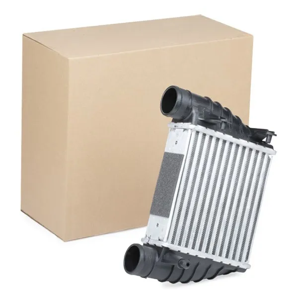 Intercooler RIDEX 468I0202