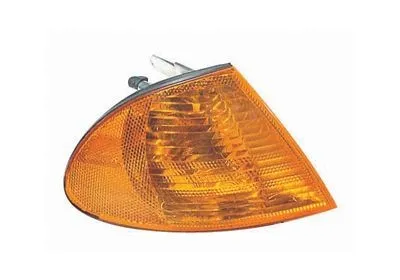 Blinker VAN WEZEL 0646902
