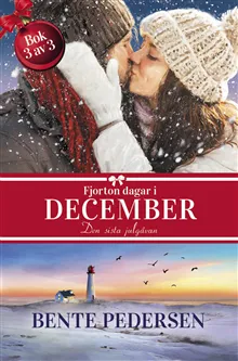 Den Sista Julgåvan (Bok / Storpocket)