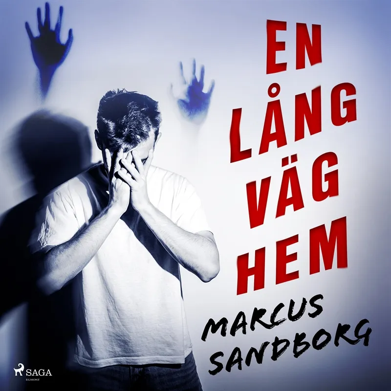 En lång väg hem, Ljudbok