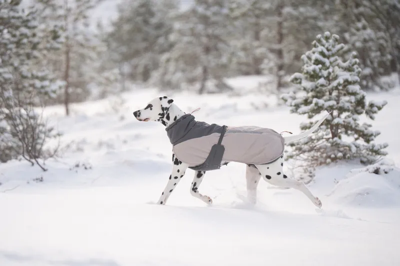 Non-stop Dogwear Glacier Wool Jacket 3.0 - Small Sizes Grey