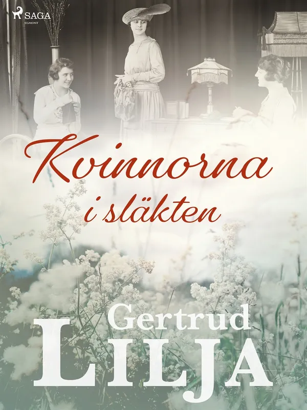 Kvinnorna i släkten, E-bok