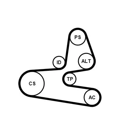 Drivremssats CONTITECH 6PK1564K1