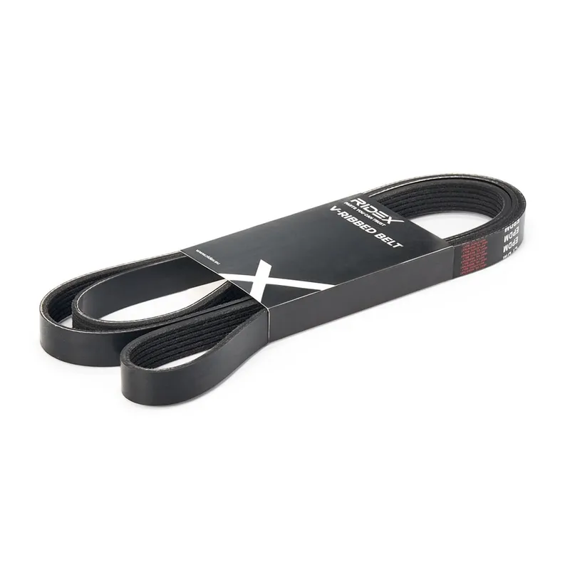 Multirem RIDEX 305P0178