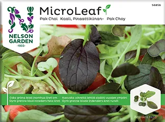 Micro Leaf, Pak Choi, Red Wizard - Brassica rapa