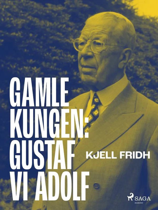 Gamle kungen: Gustaf VI Adolf, E-bok