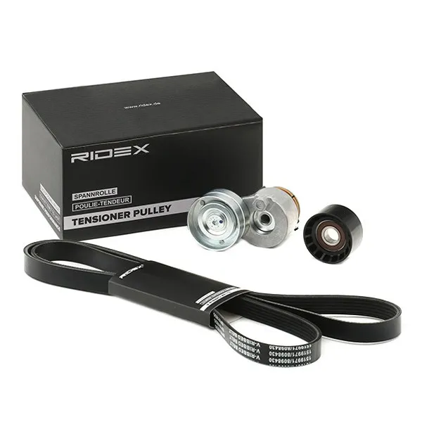 Drivremssats RIDEX 542R0667