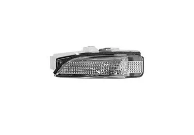Blinker VAN WEZEL 5407915