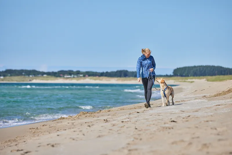 Line Harness 5.0 Hundsele Blå 4