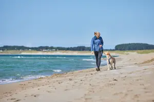 Line Harness 5.0 Hundsele Blå 4