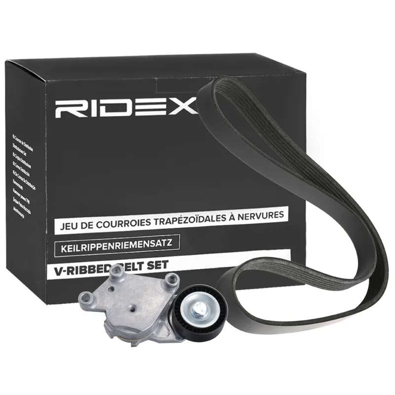 RIDEX 542R0861 Drivremssats