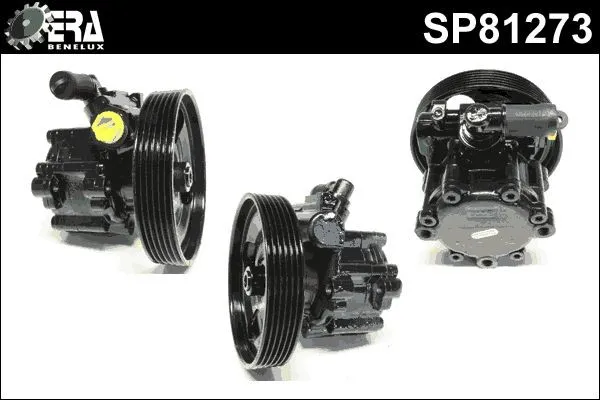 Servopump ERA Benelux SP81273
