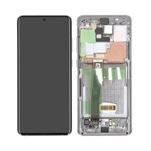 Samsung Galaxy S20 Ultra Skärm med LCD Display – Grå (Ingen Framkamera)