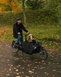 Ecoride Loader-421-midmotor-black