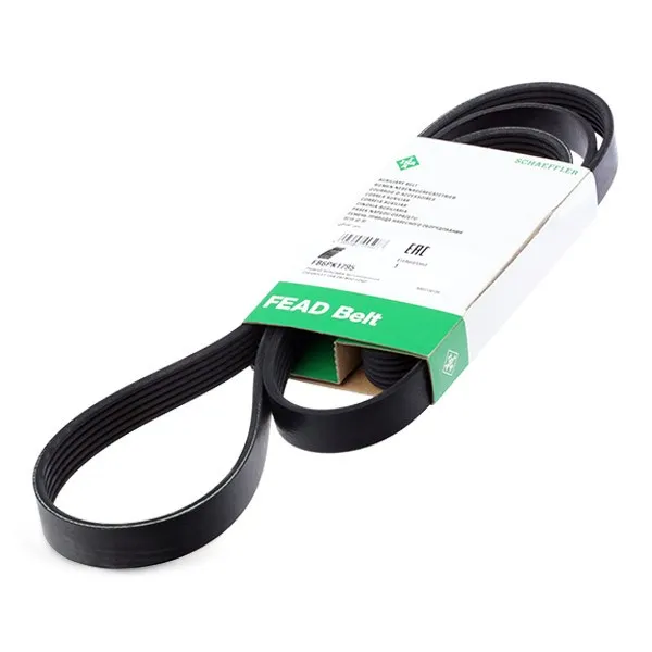 INA FB 6PK1795 Multirem