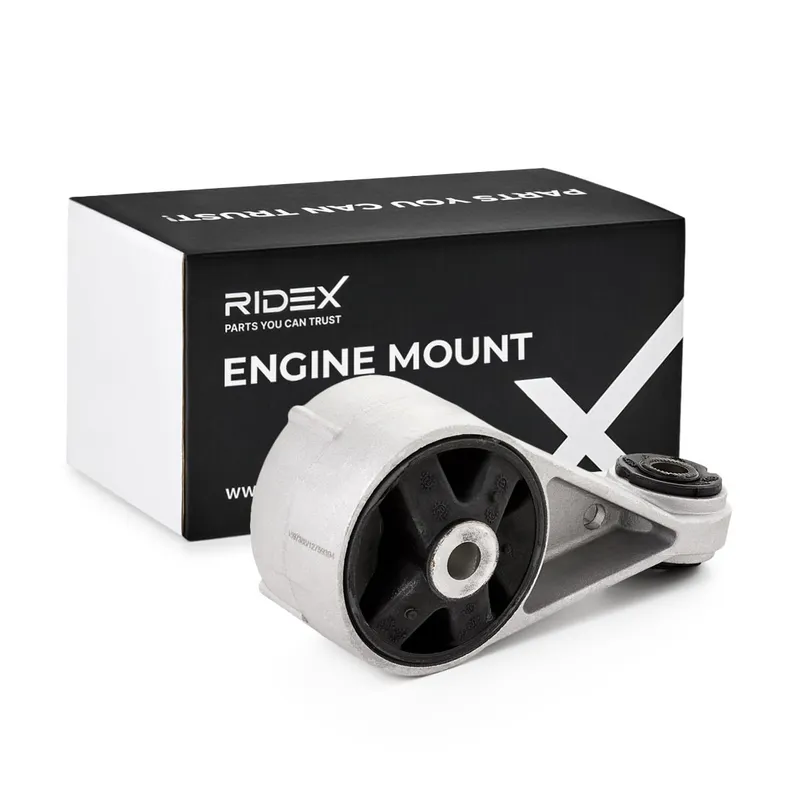 Motorkudde RIDEX 247E0290