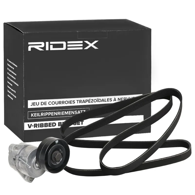 Drivremssats RIDEX 542R0770