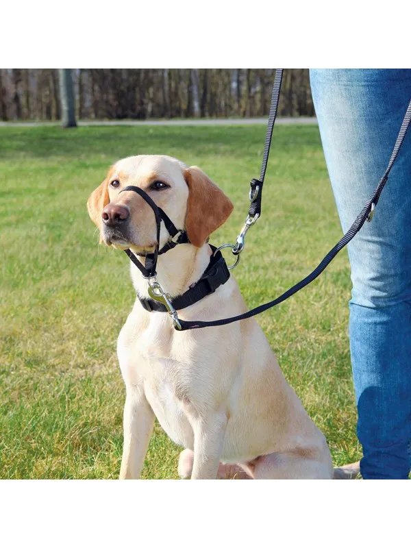 Nossele till Hund - S