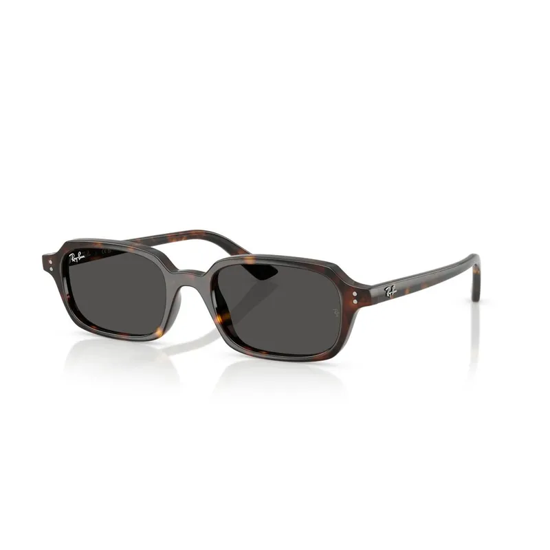Ray-Ban RB 4455 135987