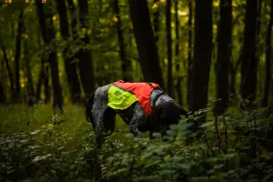 Non-stop Dogwear Protector Hundväst 2.0 Orange