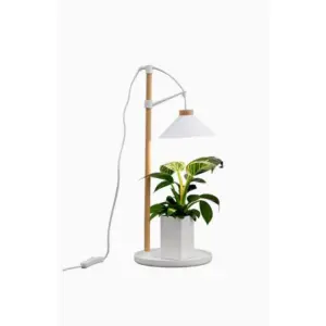 Airam - Växtbelysning Lily - Växtbelysning - Vit
