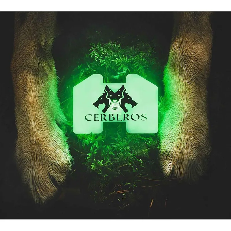 Cerberos Säkerhetslampa