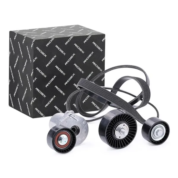Drivremssats RIDEX 542R0742