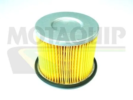 MOTAQUIP VFF202 Bränslefilter