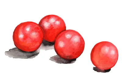 Körsbärstomat Rosy Finch – Solanum lycopersicum Rosy Finch