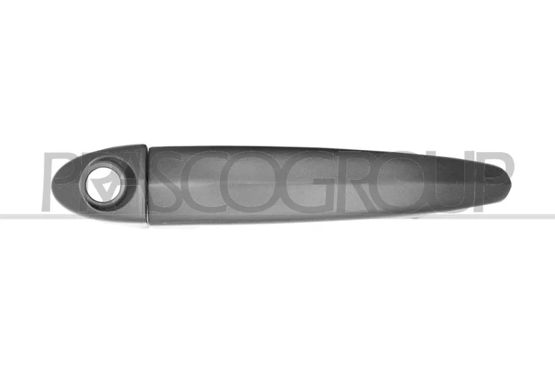 Dörrhandtag PRASCO BM8028004