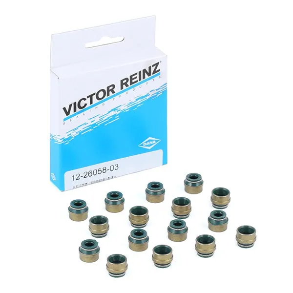 Packningssats, ventiler REINZ 12-26058-03