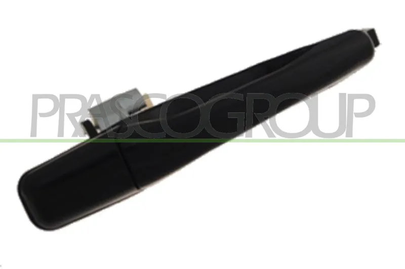 Dörrhandtag PRASCO MB7108101