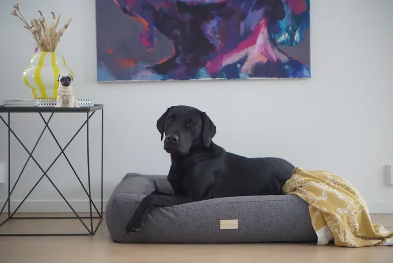 Box Bed Hundbädd Mörkgrå M