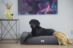 Box Bed Hundbädd Mörkgrå M